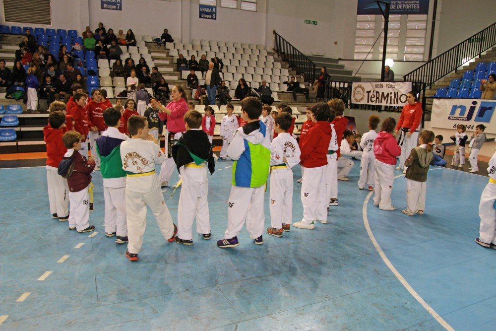 Taekwondo Dic 2016 (206).jpg